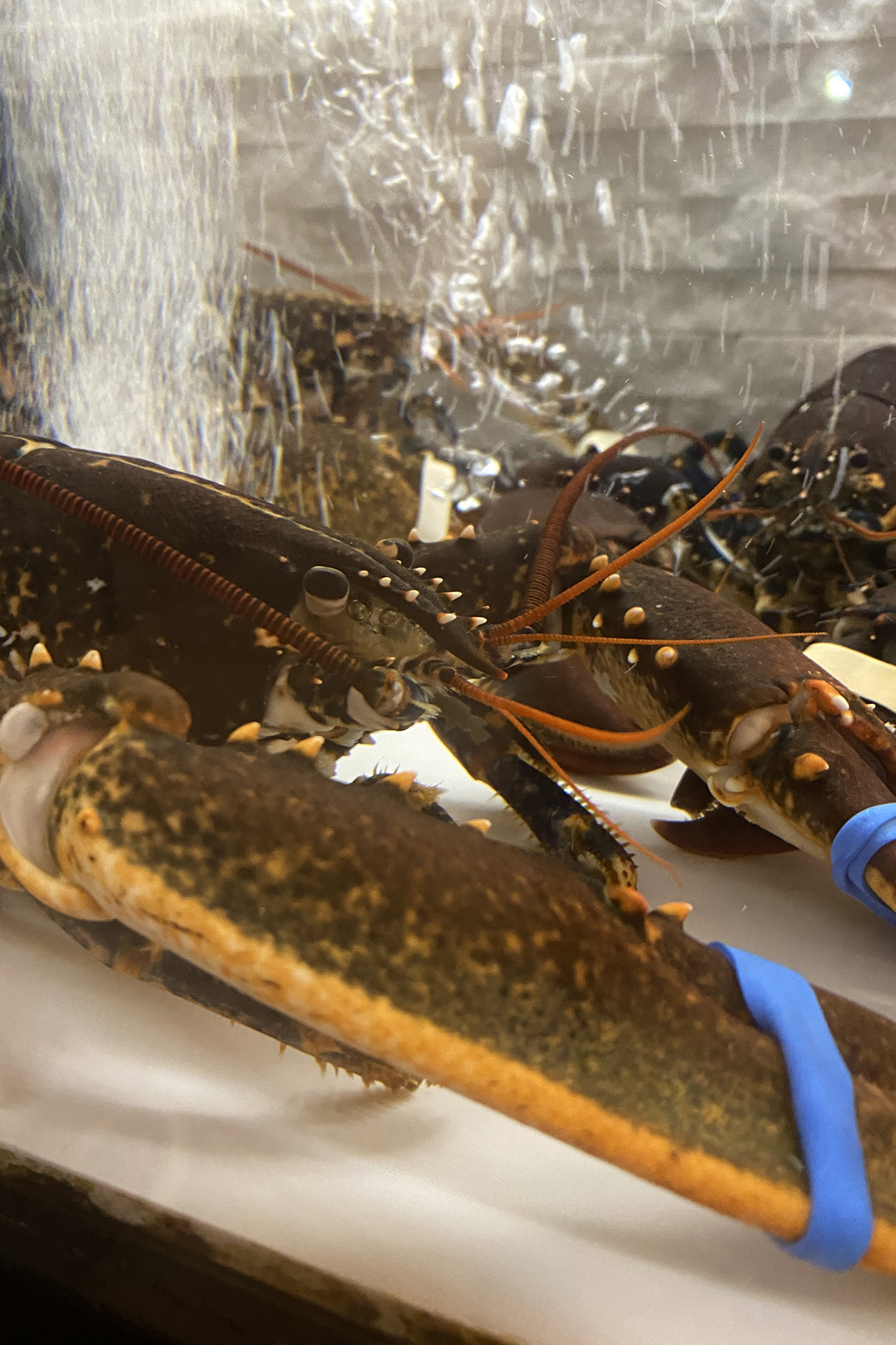 Le Brazier Grill Brasserie à Andenne Un moment de détente