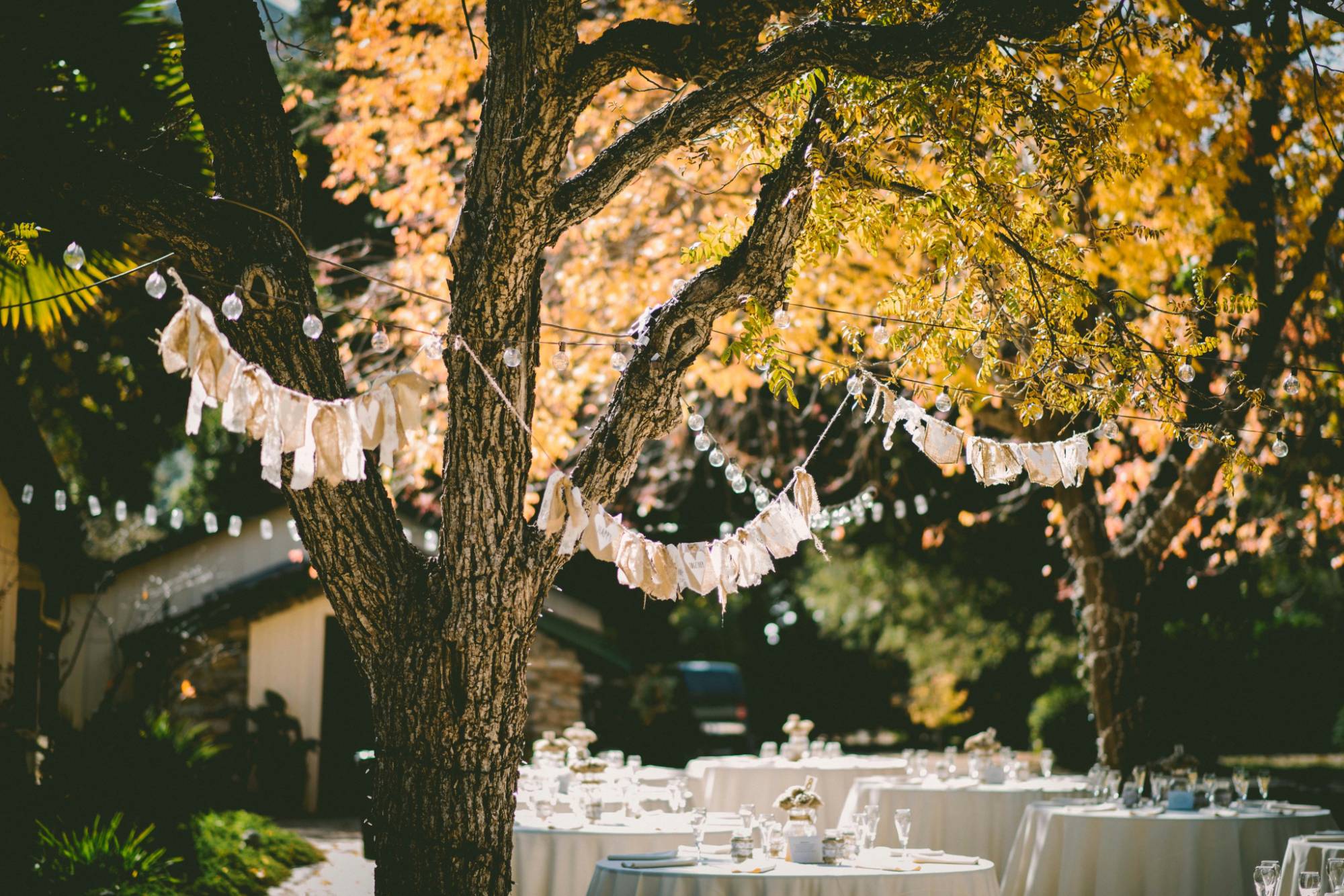 Garden Party - Le Brazier